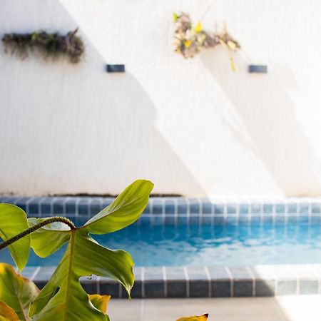 Casa Kayak - Villa Remo Milagres Piscina Privativa São Miguel dos Milagres Kültér fotó